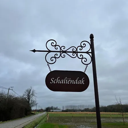 住宿加早餐酒店 Schaliendak
